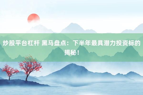 炒股平台杠杆 黑马盘点：下半年最具潜力投资标的揭秘！