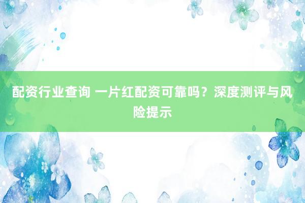 配资行业查询 一片红配资可靠吗？深度测评与风险提示