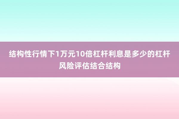 结构性行情下1万元10倍杠杆利息是多少的杠杆风险评估结合结构