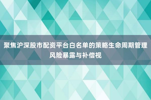 聚焦沪深股市配资平台白名单的策略生命周期管理风险暴露与补偿视