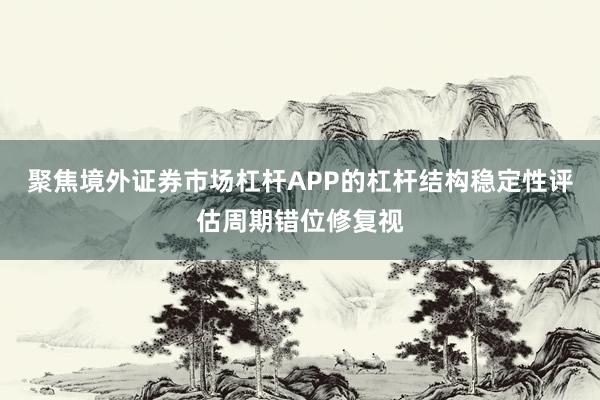 聚焦境外证券市场杠杆APP的杠杆结构稳定性评估周期错位修复视