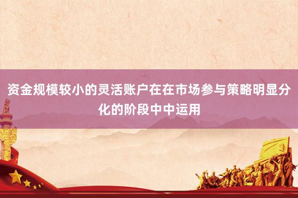 资金规模较小的灵活账户在在市场参与策略明显分化的阶段中中运用
