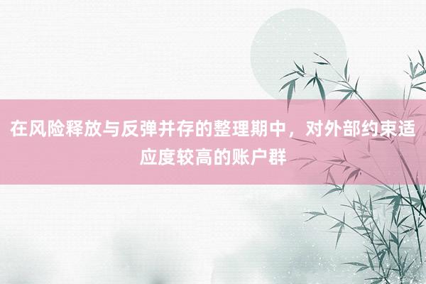 在风险释放与反弹并存的整理期中，对外部约束适应度较高的账户群