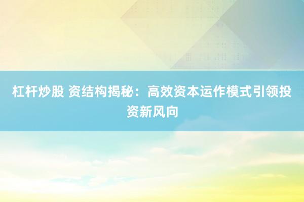 杠杆炒股 资结构揭秘：高效资本运作模式引领投资新风向