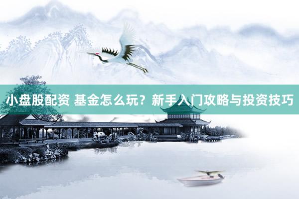 小盘股配资 基金怎么玩？新手入门攻略与投资技巧