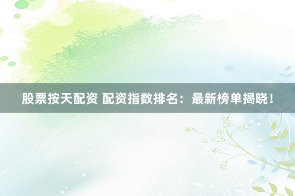 股票按天配资 配资指数排名：最新榜单揭晓！